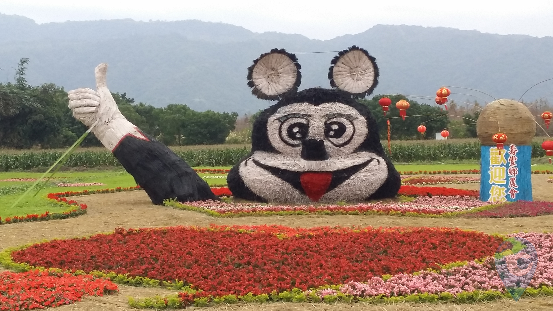 米老鼠