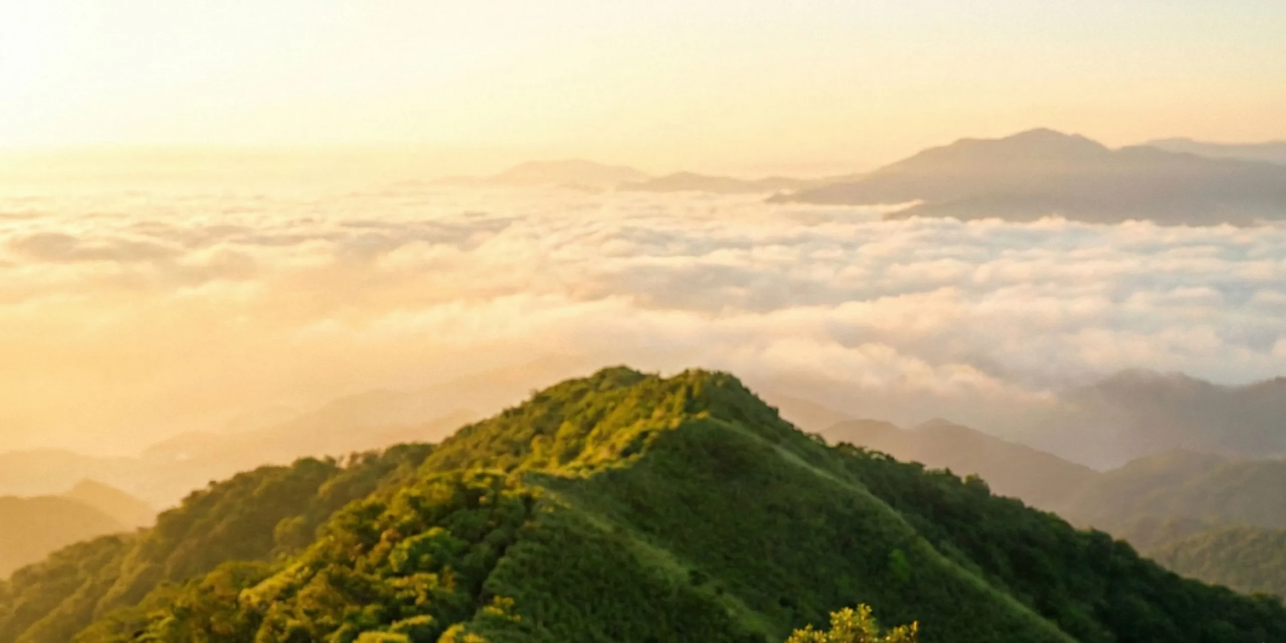 每日好馬吉頁面Hero Image