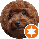 Lisa Huang profile picture