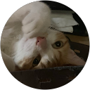 羅旭傑 profile picture