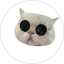 周明潔 profile picture