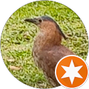 林仁中 profile picture